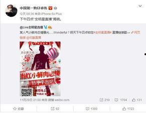 今日爆料在线观看,独家在线观看，揭秘热点事件背后的真相  第1张